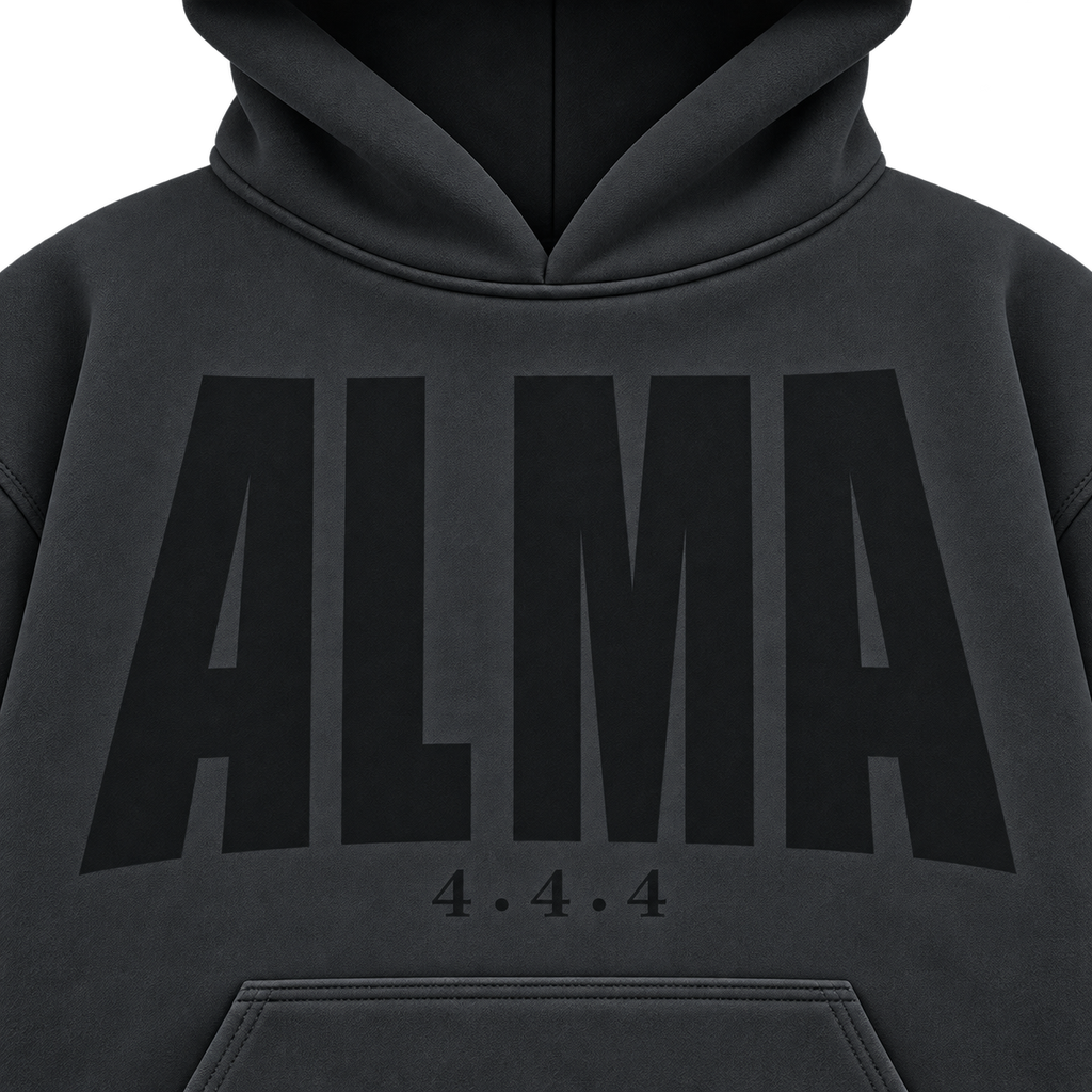 Sudadera con capucha de doble capa 444 — Gris